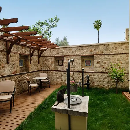 1207 Special Class 3*