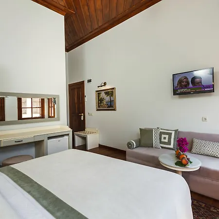 Hotel 1207 Special Class 3*