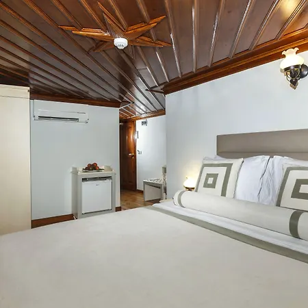 Otel 1207 Special Class